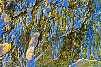 AP 141A1